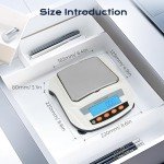 Bonvoisin 3000g Precision Electronic Lab Scale