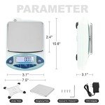 High Precision 500g Digital Lab Scale