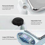 High Precision 500g Digital Lab Scale