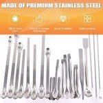 Rustark 23-Piece Stainless Steel Lab Spatula Set