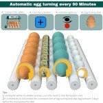 CoInceptus 16-Egg Automatic Hatching Incubator