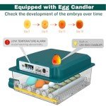 CoInceptus 16-Egg Automatic Hatching Incubator