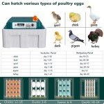 CoInceptus 16-Egg Automatic Hatching Incubator
