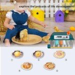 CoInceptus 16-Egg Automatic Hatching Incubator