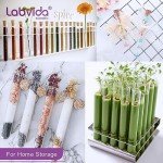 50-Pack Glass Test Tubes with Cork Stoppers