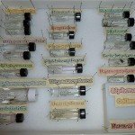 Clear Glass Sample Vial with Black Cap, 20 ml