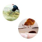 12PCS Diamond Burr Rotary Grinding Tool Set