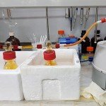 Glass Gas Washing Bottle 500mL with Adjustable Filter