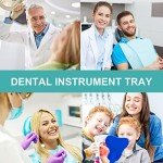 Lyuxzad 4 Pack Stainless Steel Dental Trays