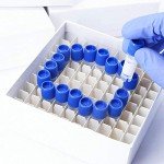 Lichen Cottage Water-Resistant Cardboard Freezer Box