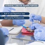 Stainless Steel Dissection Probes - 5 Pack