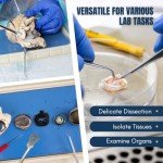 Stainless Steel Dissection Probes - 5 Pack