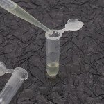 2ml Plastic Vial Tubes for Sample Storage (500)