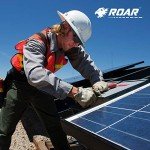 ROAR Smoke Safety Glasses - 12 Pairs Box