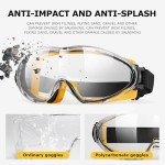 Chicday Adjustable Clear Safety Goggles for All