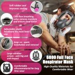 Reusable Full Face Respirator Mask with Filters