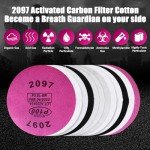 Reusable Full Face Respirator Mask with Filters