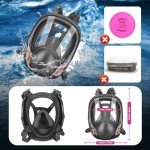 Reusable Full Face Respirator Mask with Filters