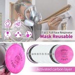 Reusable Full Face Respirator Mask with Filters