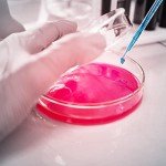 Stonylab Autoclavable Borosilicate Glass Petri Dish