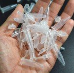 BronaGrand 200-Pack 0.5ML Graduated Microcentrifuge Tubes