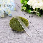 Mini Funnels with Pipettes and Spoon Set - 20 Pack