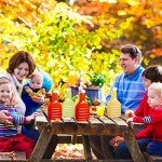 30 Pack Clear Plastic 16oz Squeeze Bottles