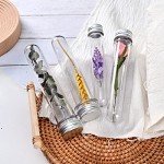 12Pcs PET Test Tubes with Screw Caps and Labels