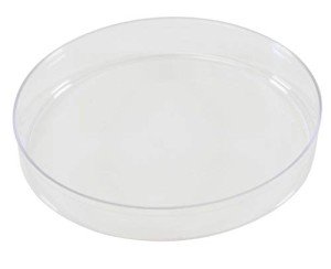 Smooth Bottom Empty Petri Dishes, 100x15mm, 500 Pack