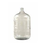 Eagle 6 Gallon Glass Carboy
