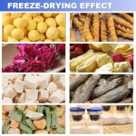 4L Freeze Dryer -35℃ with Rotary Vane Pump