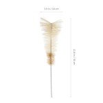 Erlenmeyer Flask Brush Set - 5 Pieces