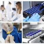 100 Pack of 2ml HPLC Vials with Caps