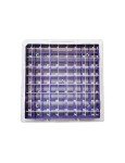 Polycarbonate Freezer Box for 2ml Vials, Purple