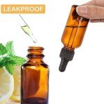 6-Pack 2 oz Amber Glass Dropper Bottles