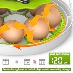 Automatic Egg Incubator with Humidity Control