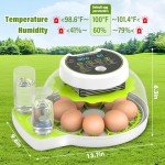 Automatic Egg Incubator with Humidity Control