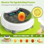 Automatic Egg Incubator with Humidity Control