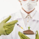 1ml 25 Gauge 5/8 Inch Dispensing Needles, 50 Pack