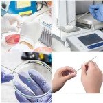 Stainless Steel Micro Sampling Scoop Set (5 Pack)