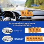 Wisesorb Rechargeable Desiccant Packs - 100g, 5pcs