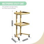 Gold 2-Level Utility Cart with Wheels for Storage