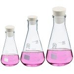 Erlenmeyer Flask Set with Rubber Stoppers - 3pcs
