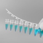 PEKYBIO 0.2mL PCR Tubes with Flat Caps - 125 Pcs