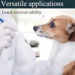 100 Pack Clear Plastic Transfer Pipettes - 1ML