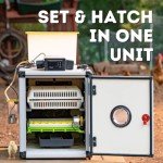 CT60SH Automatic Egg Incubator with Humidity Control