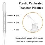 Clear Glass Dropper Bottles with Measurements, 12 Pack