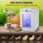 Happybuy 25L Digital Reptile Egg Incubator