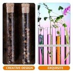 15pcs 25ml Glass Test Tubes with Cork Stoppers