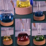Lab Flask Cork Stand - Support for Round Bottom Flasks